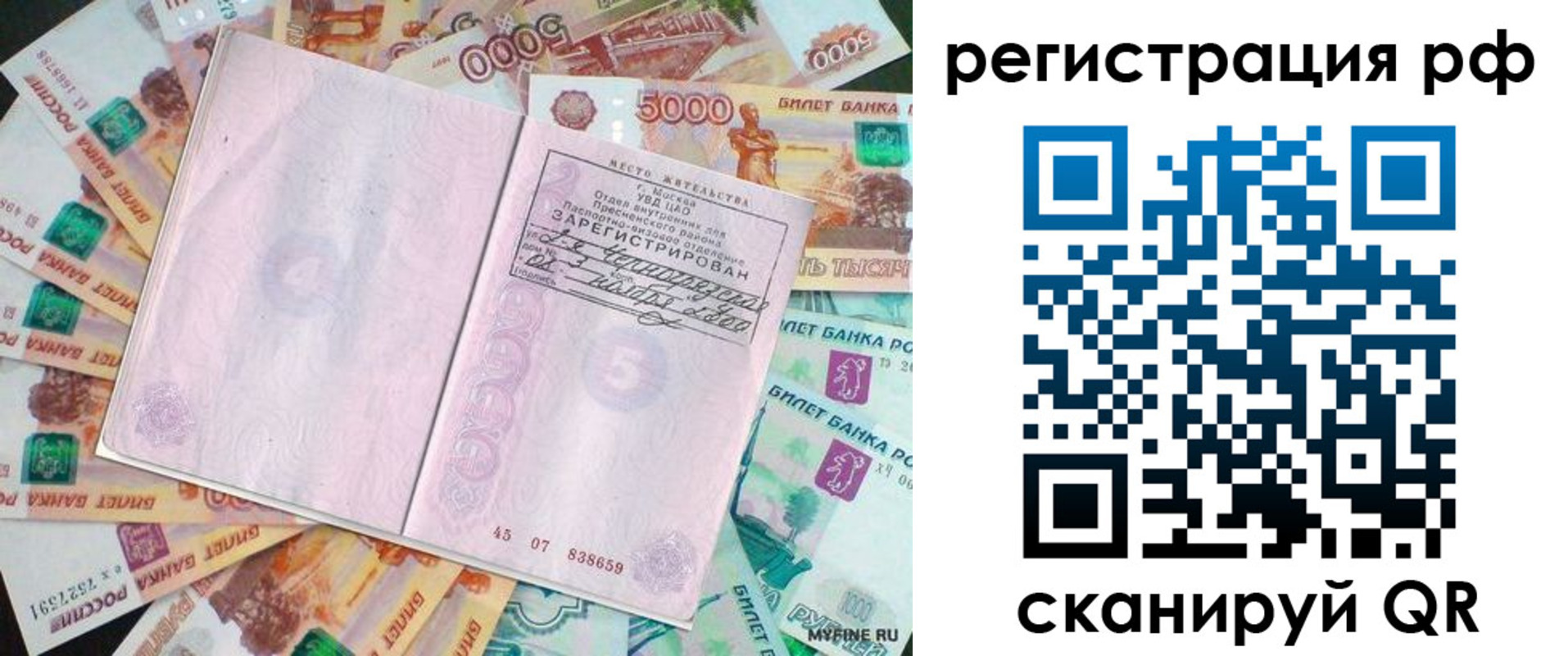 прописка в квартире в Полярных Зорях